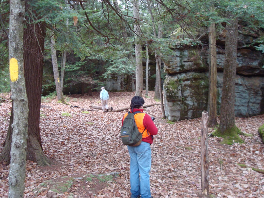 Friends of Cook Forest: Walk with Friends
